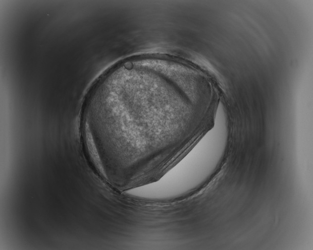 X0000092001216200710041001