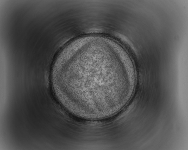 X0000092001217200710041001