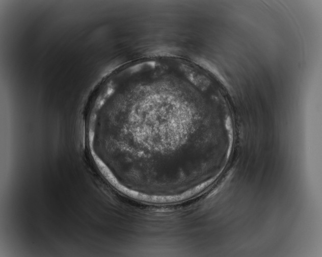 X0000092001219200710041001