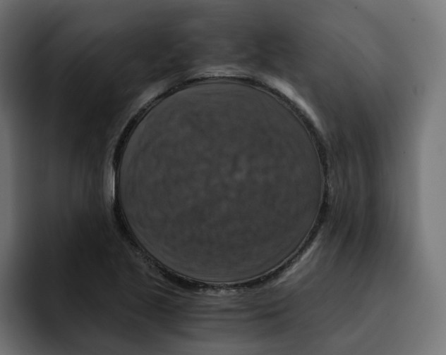 X0000092001221200710041001