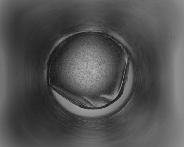 X0000092001222200710041001