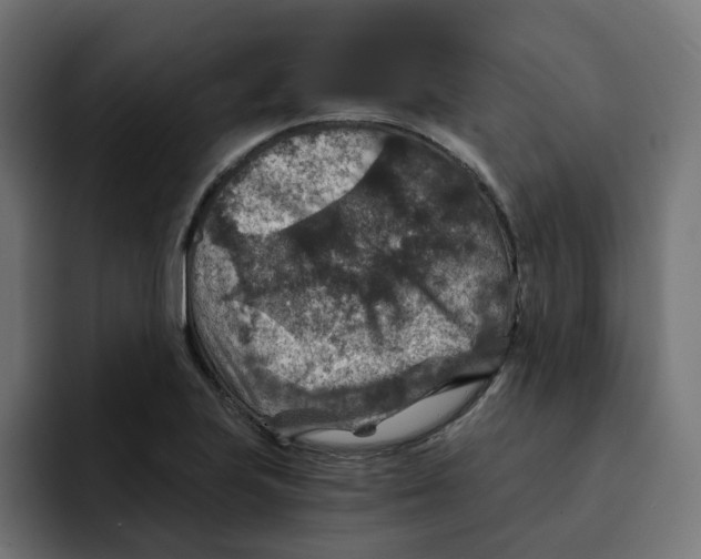 X0000092001223200710041001