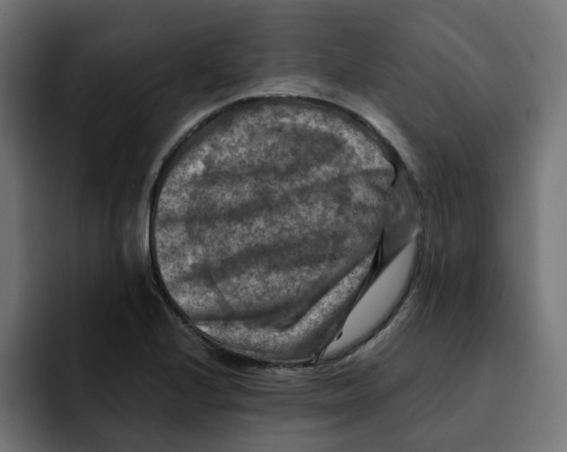 X0000092001224200710041001