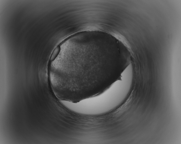 X0000092001226200710041002