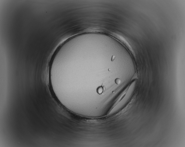 X0000092001227200710041002