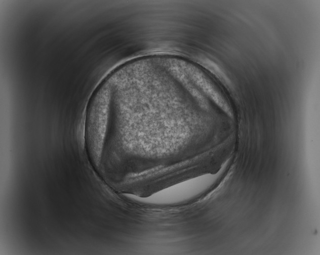 X0000092001228200710041002