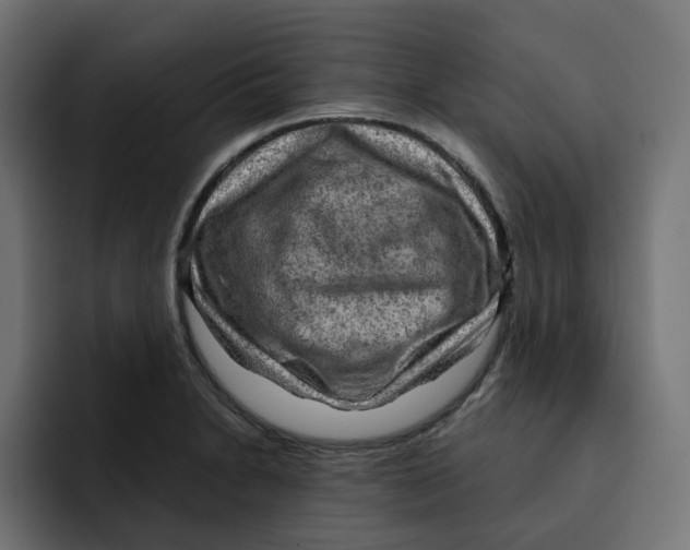 X0000092001230200710041002