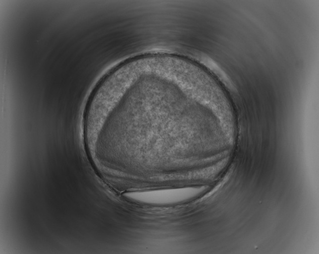 X0000092001232200710041002