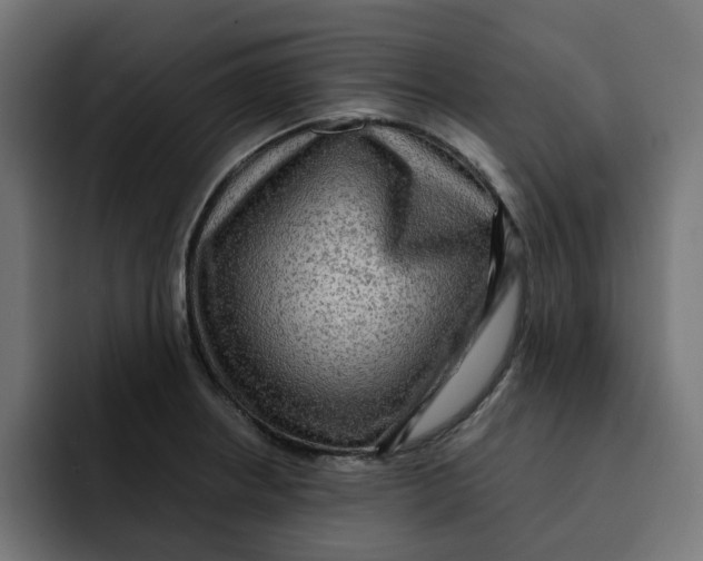 X0000092001234200710041002