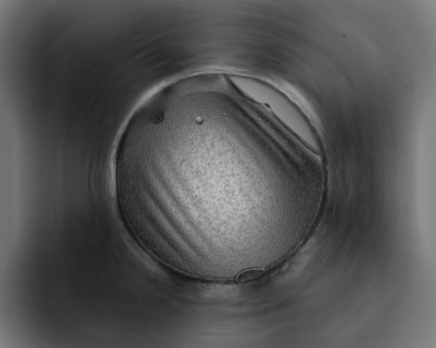 X0000092001238200710041002