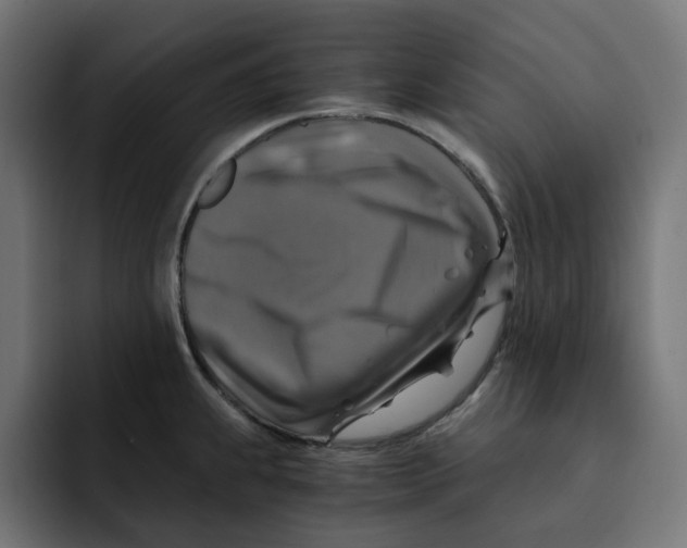 X0000092001239200710041002