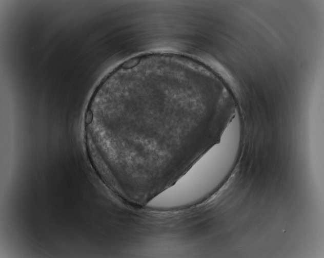 X0000092001240200710041002