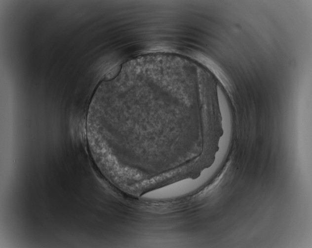 X0000092001241200710041002