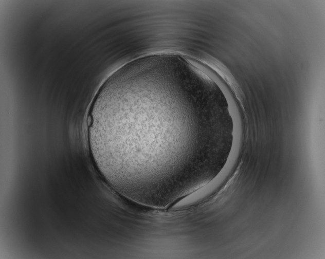 X0000092001242200710041002