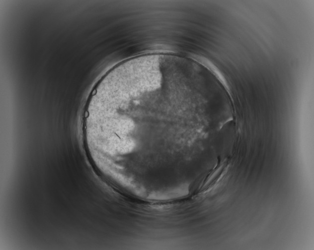 X0000092001243200710041002