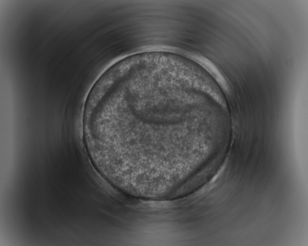 X0000092001244200710041002