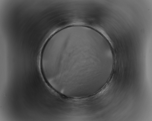 X0000092001245200710041002