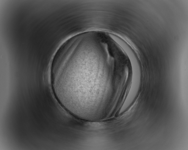 X0000092001246200710041002