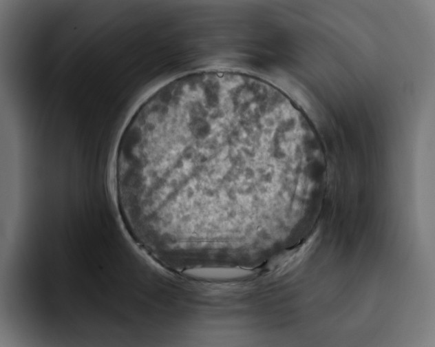 X0000092001247200710041002