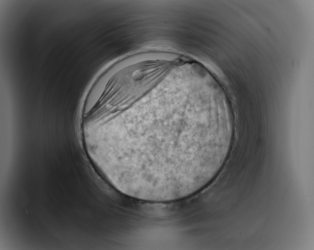 X0000092001248200710041002