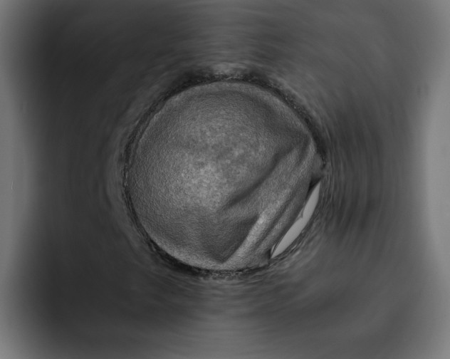 X0000092001249200710041001