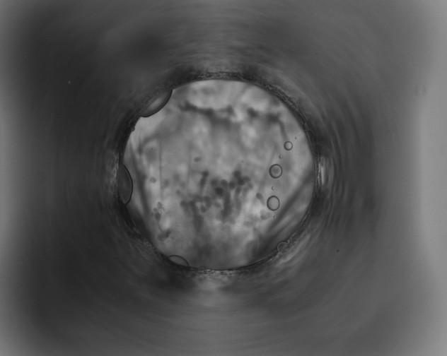 X0000092001251200710041001