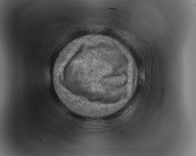 X0000092001252200710041001