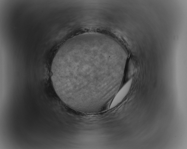 X0000092001253200710041001