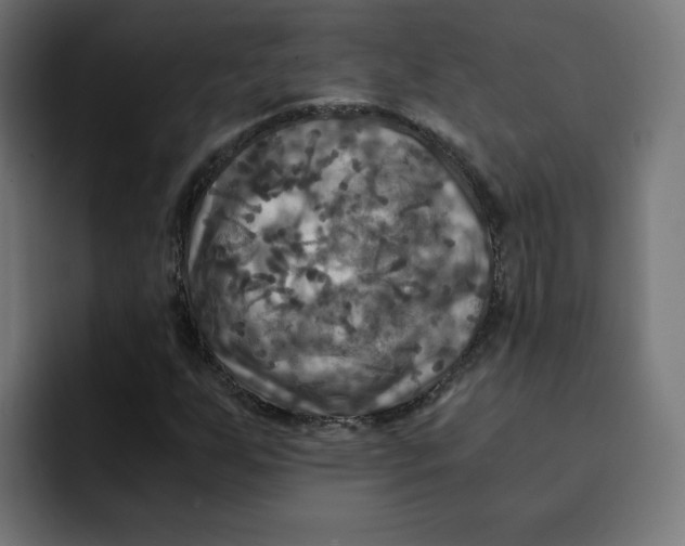 X0000092001255200710041001