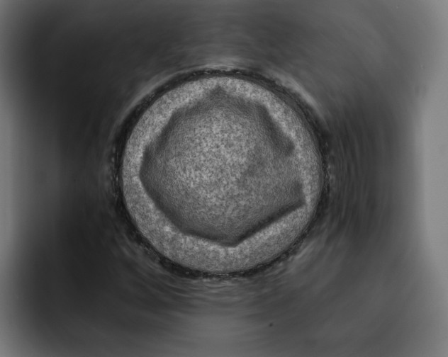 X0000092001256200710041001