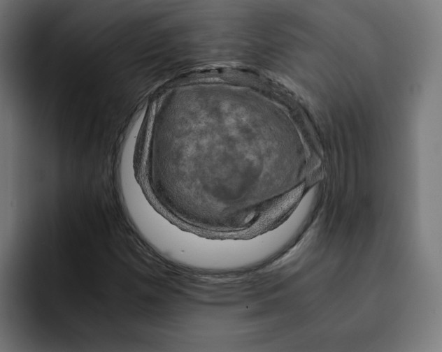 X0000092001257200710041001