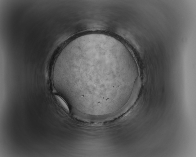 X0000092001261200710041001