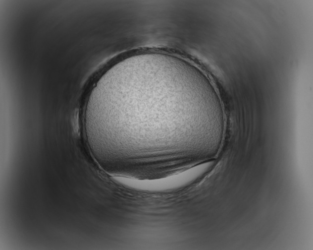 X0000092001262200710041001