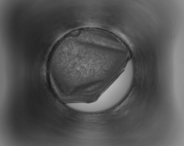 X0000092001264200710041001