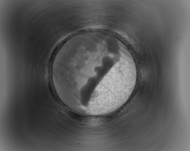 X0000092001266200710041001