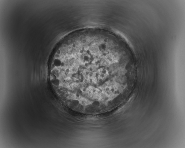 X0000092001267200710041001