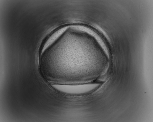 X0000092001269200710041001