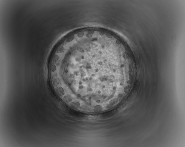 X0000092001271200710041001