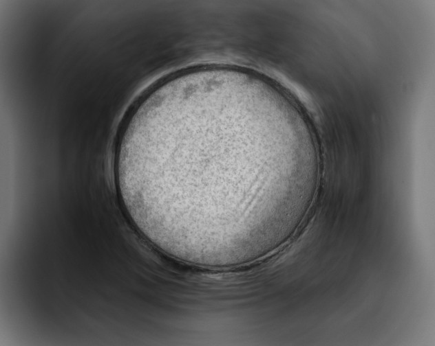 X0000092001272200710041001