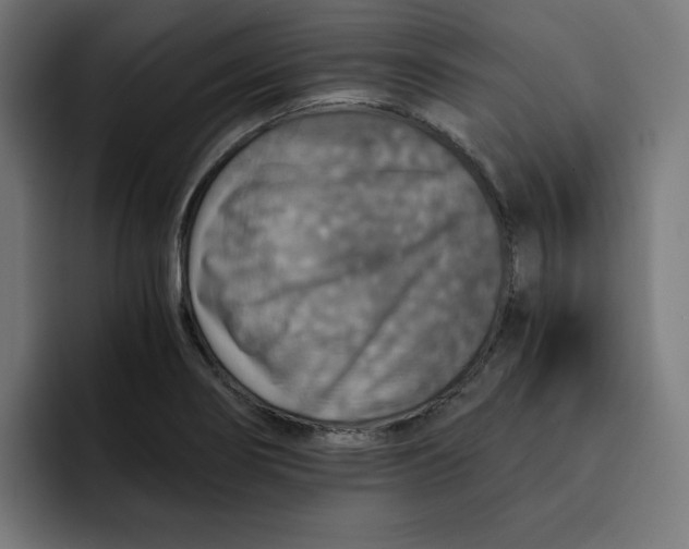 X0000092001274200710041001