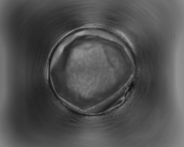 X0000092001276200710041001