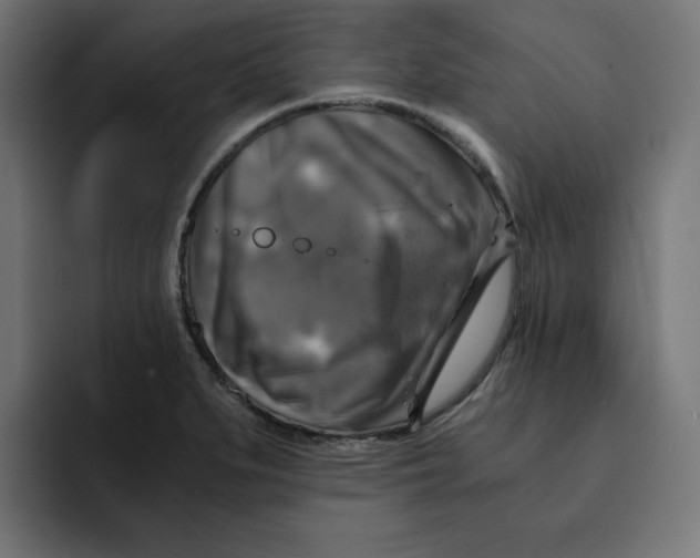 X0000092001279200710041001