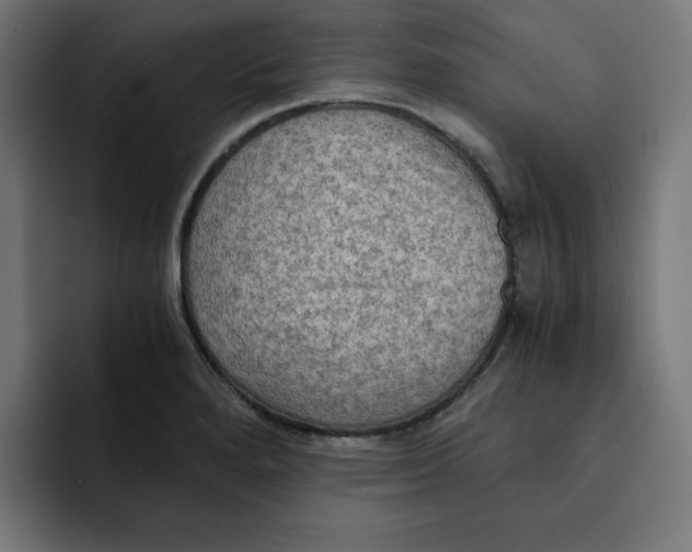 X0000092001280200710041001