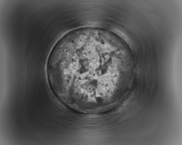 X0000092001283200710041001