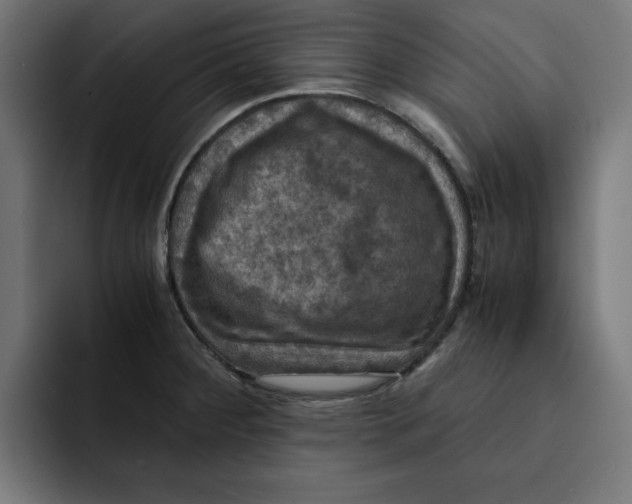 X0000092001284200710041001