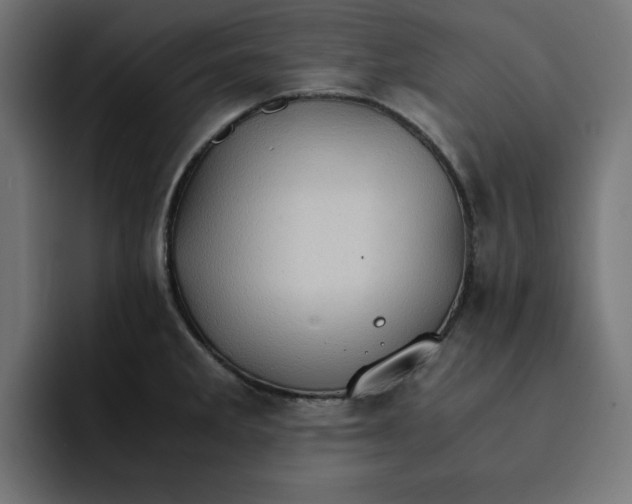 X0000092001285200710041001