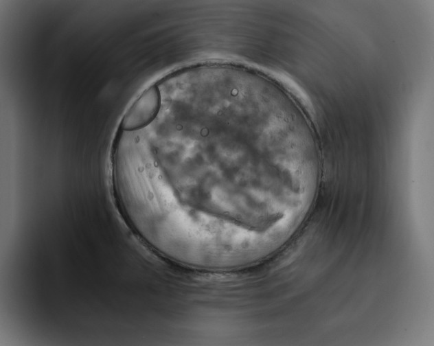 X0000092001287200710041001