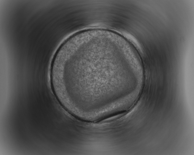 X0000092001288200710041001