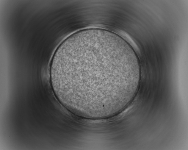 X0000092001292200710041001