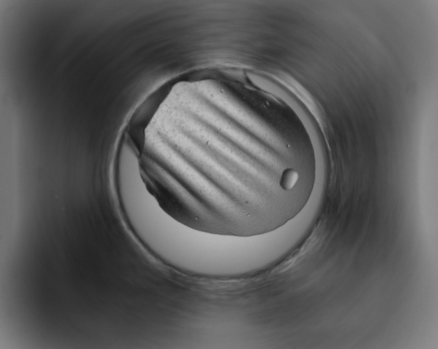 X0000092001293200710041001